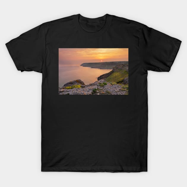 Overton Mere, Gower, Wales T-Shirt by dasantillo